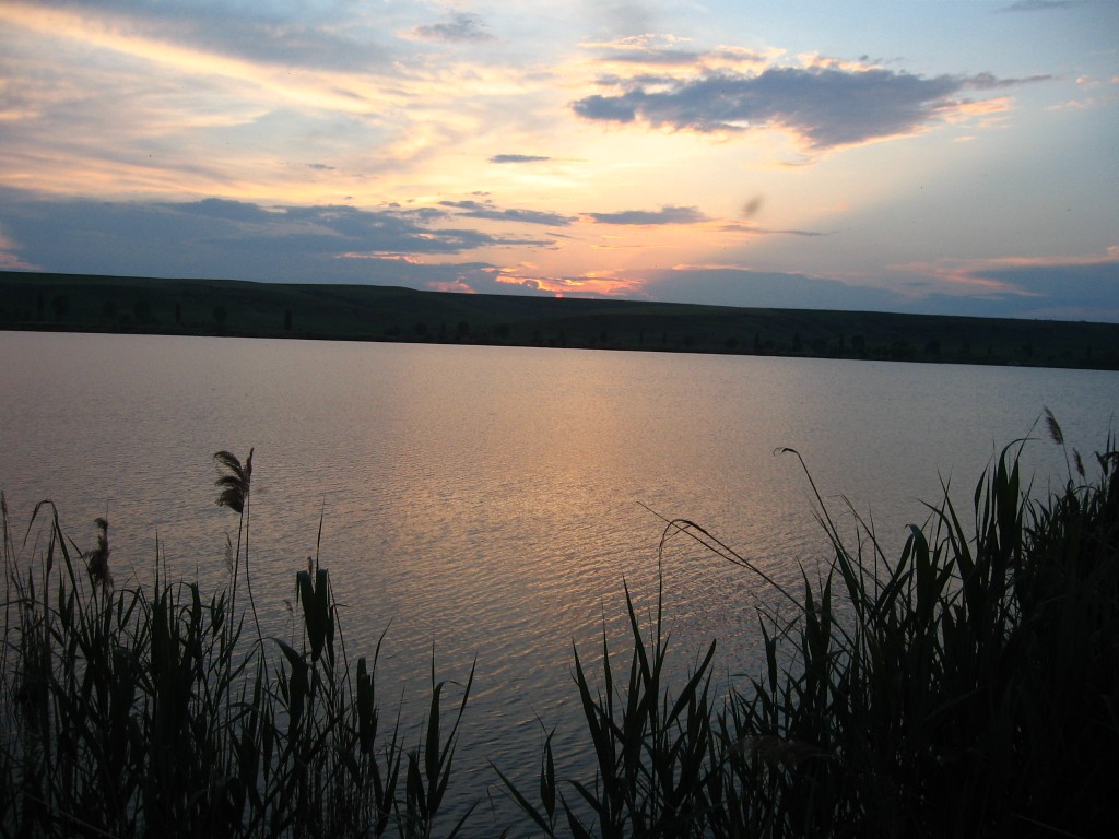 Balta Oancea Vladesti