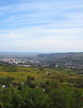 Husi